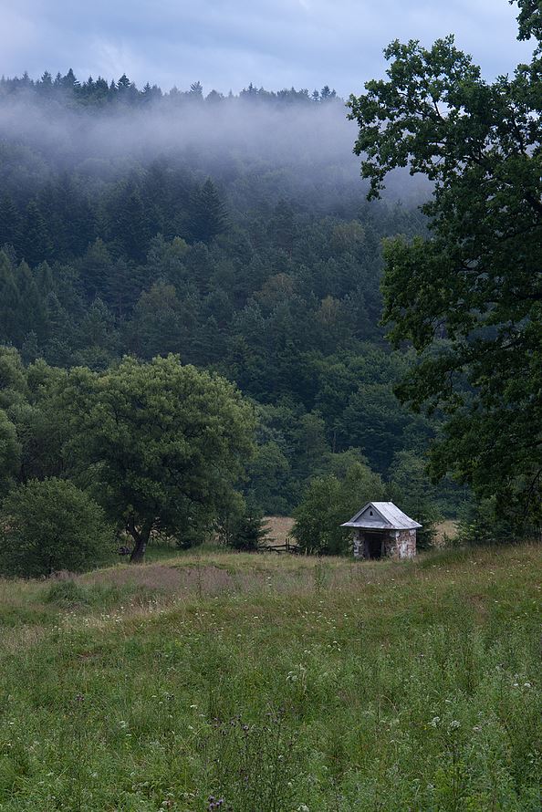 Kilka kroków, Czarne, Beskid Niski.