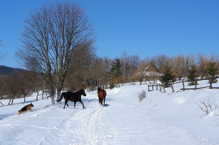 Na gigancie. Czarne. Na gigancie, Czarne, Beskid Niski.