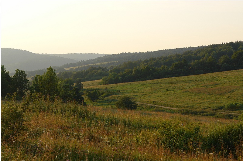 Na przełęczy Długie, Beskid Niski.