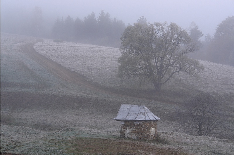 Oszronione Czarne. Oszronione Czarne.