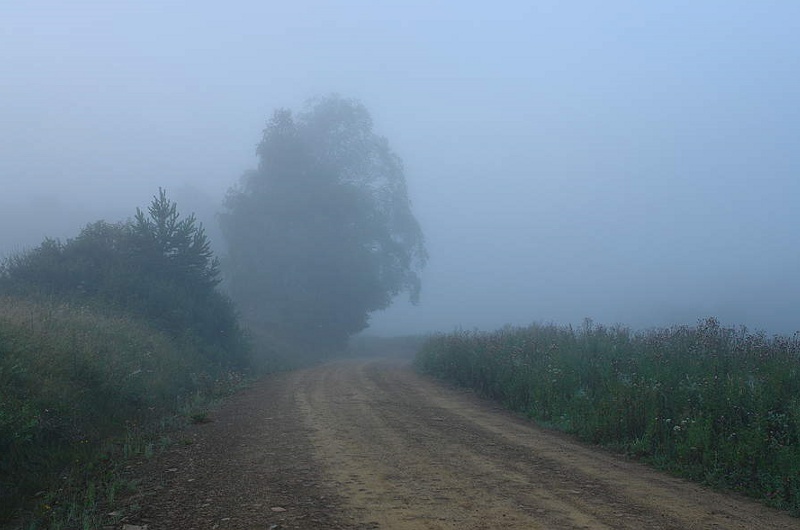 Poranek na Długiem.