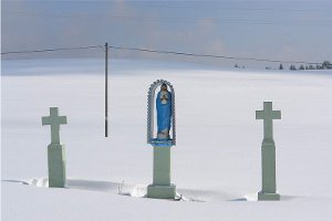 Wiosna przyszła w Beskid Niski. Krzywa.