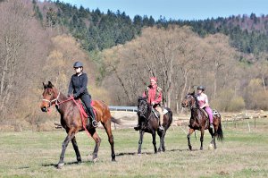 Jazdy konne w Beskidach