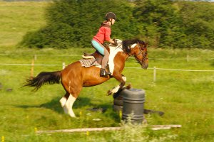 Trening jazdy konnej Beskid Niski