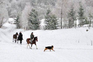 Jazda konna zimowa, Beskid Niski