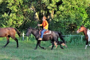 Jazdy konne, Beskid Niski