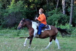 Jazdy konne w Beskidach