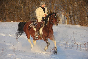 Jazdy konne Beskid Niski